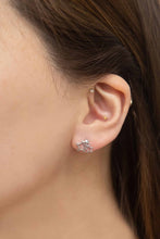 Load image into Gallery viewer, Cluster of Stars Stud Earrings
