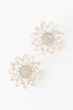 Load image into Gallery viewer, Aurora Stud Earrings
