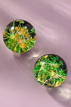 Load image into Gallery viewer, Resin ball stud earrings with dried flowers
